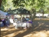 2013 Arts in the Park