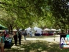 2013 Arts in the Park