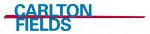 CAR logo_blue red blue_2c