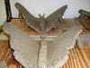A Clay Butterfly