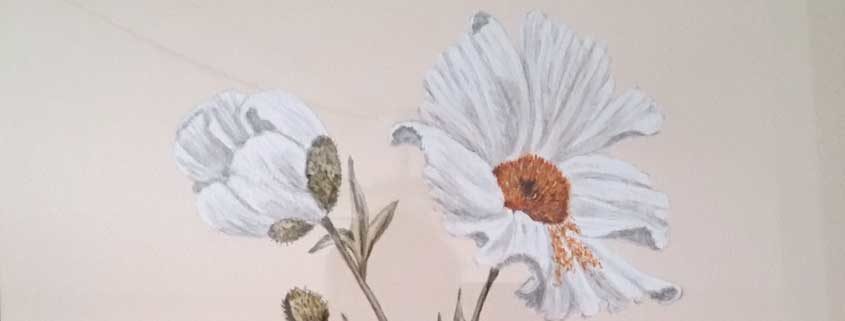 by Sheila Motley-845x321 by Sheila Motley-845x321