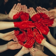 Painted Hands Image by Pexels on Pixabay