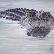 "Friend Gator" by Bibzi Priori
